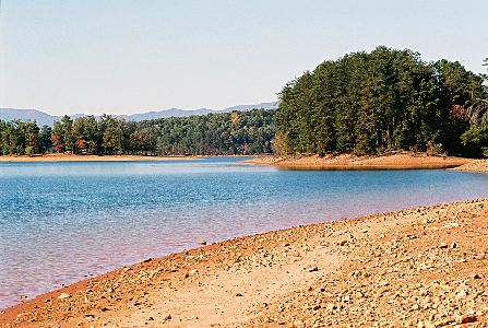 [View of lakeshore.]